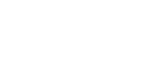 Deck and Fencing Cleaning inside logo bg